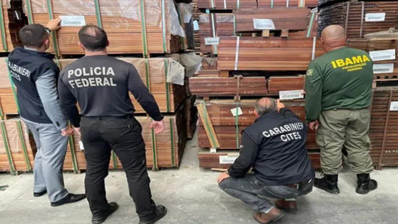 Operazione internazionale contro il traffico illegale di legname