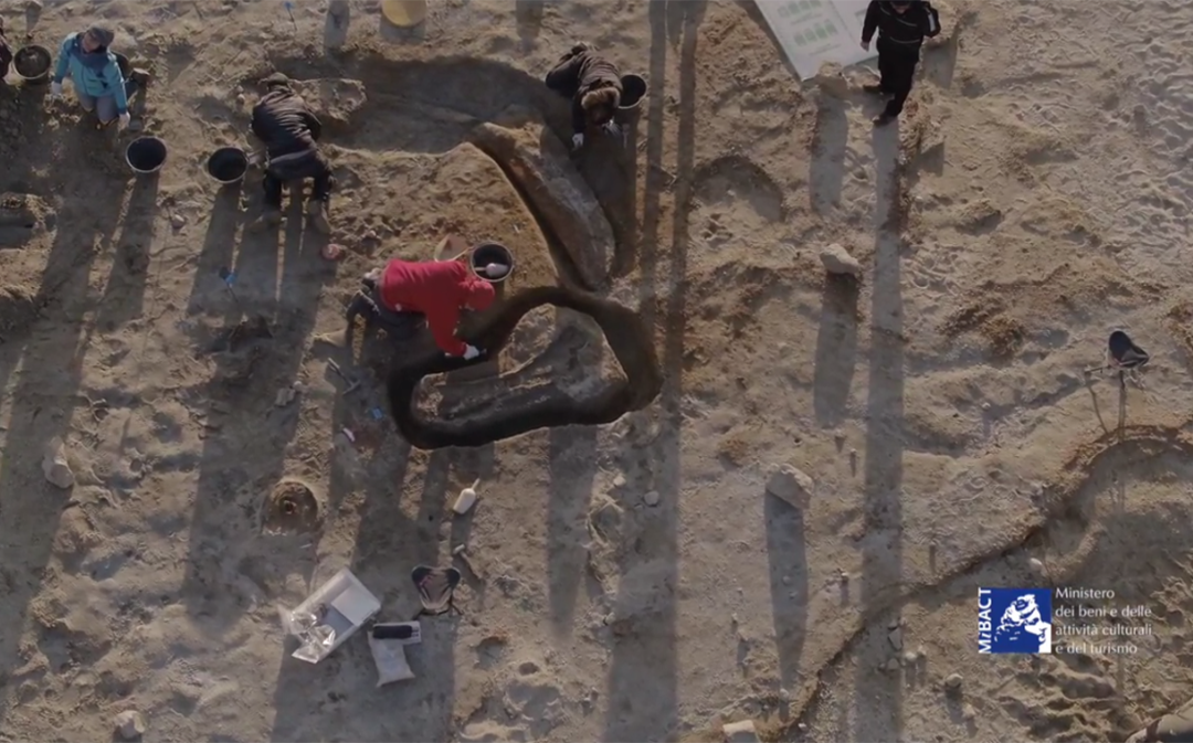 Le operazioni di scavo dell’Elephas Antiquus presso il Lago Cecita