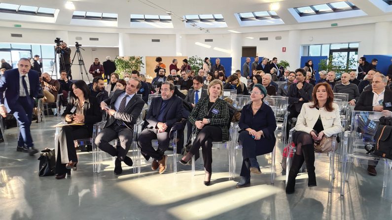 Arte e girasoli, il DemoDay di Tech4You per le startup in Calabria