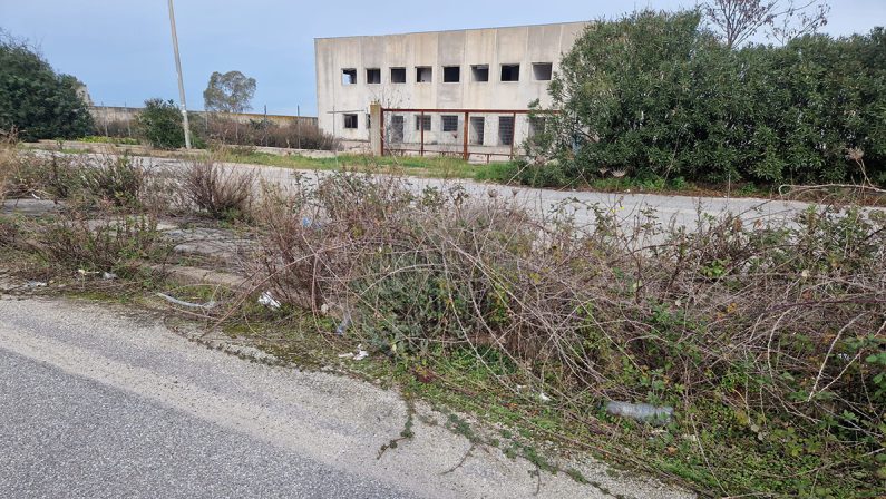 Gioia Tauro: la collina dei morti e il retroporto perduto