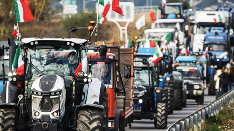 Agricoltura strategica, ma la politica europea ha penalizzato