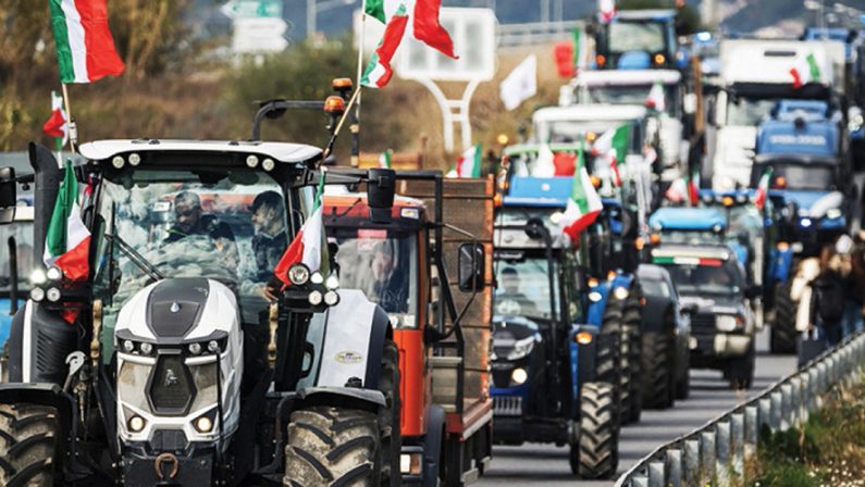 Effetti della Filiera lunga: agli agricoltori guadagni bassi e ai consumatori prezzi alti