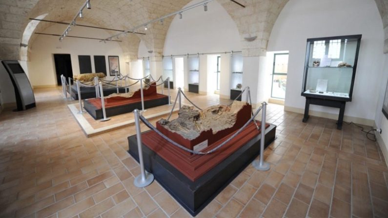 Foto choc contro la Meloni, si dimette il presidente del museo di Ostuni