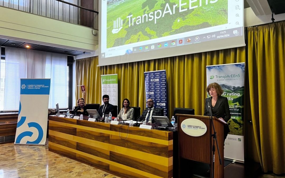 Progetto TranspArEEnS, rating ESG per oltre 600 Pmi venete