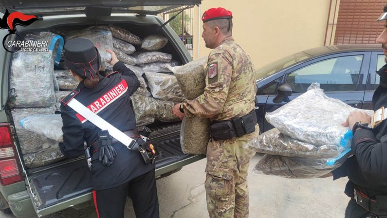 In casa con quasi 2 quintali di marijuana, arrestato a Rosarno