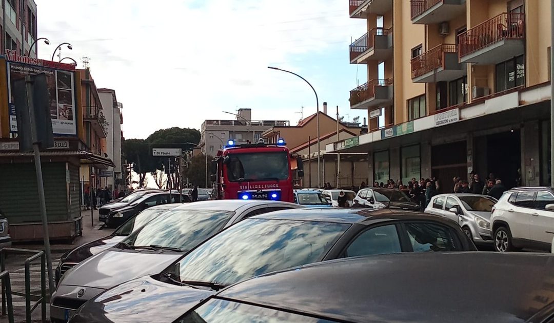 Asp di Vibo