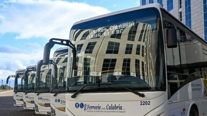 Trasporti Calabria, i bus fanno milioni di chilometri ma sono semivuoti: Così non regge