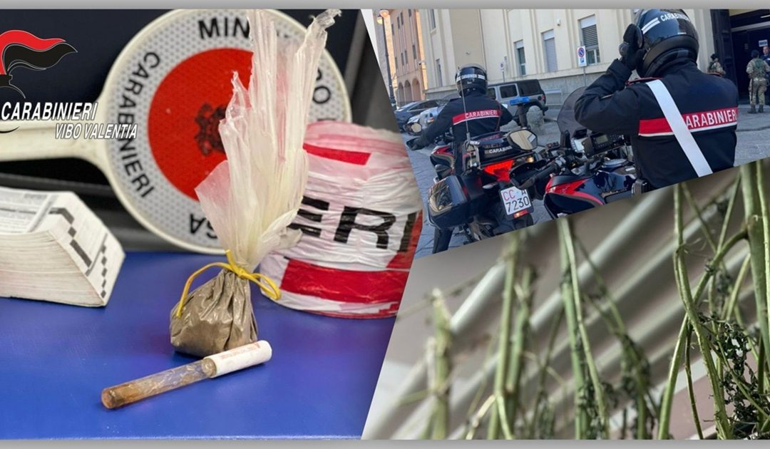 La droga sequestrata dai carabinieri