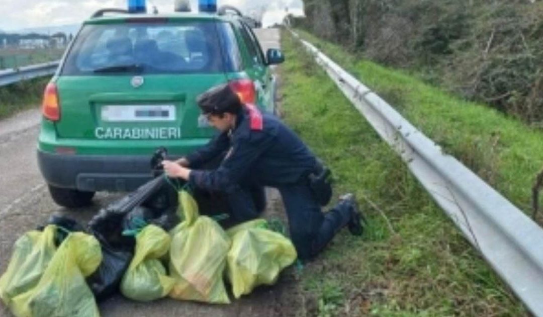 I cittadini non sono tutti uguali, e neppure i cani ammazzati