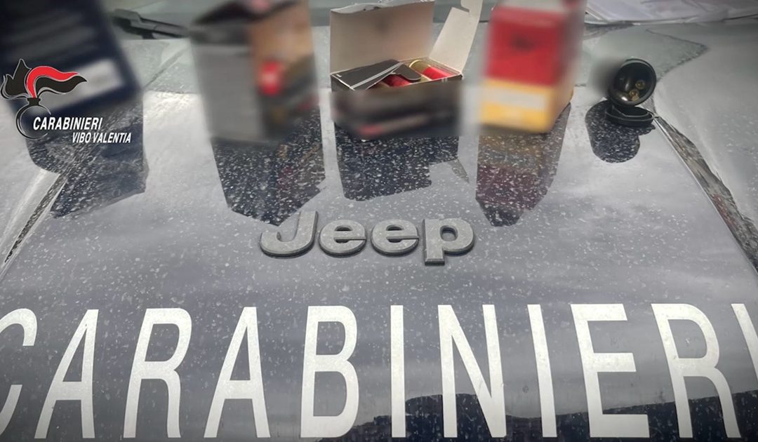 Attività di alto impatto dei carabinieri nei territori di Mileto, Paravati e Francica