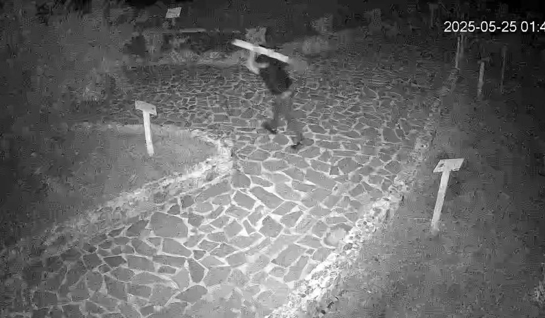 Uno dei vandali in azione ripreso dalle telecamere