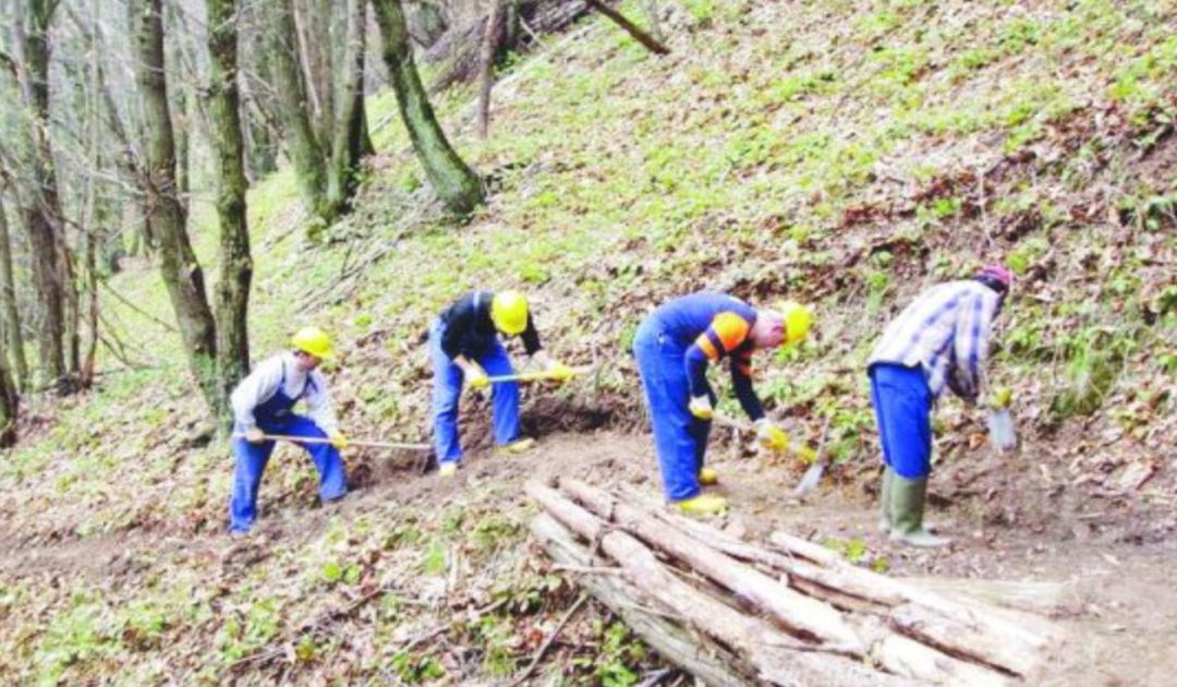 Basilicata, per i forestali stipendi garantiti
