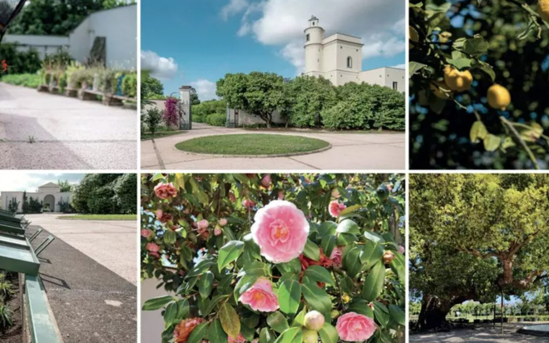 Capodimonte, il Giardino Torre partecipa alle “Camminate nella biodiversità” FAI