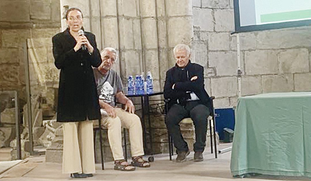 Ponte, «il terremoto sullo Stretto tornerà e per le torri sarà un problema»