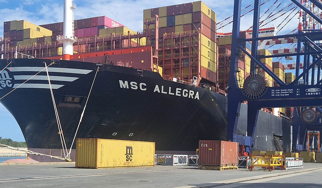 La Msc Allegra durante le operazioni in banchina a Gioia Tauro