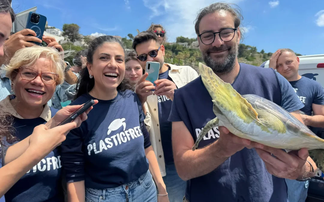 Quattro tartarughe curate e liberate nel mare del Salento