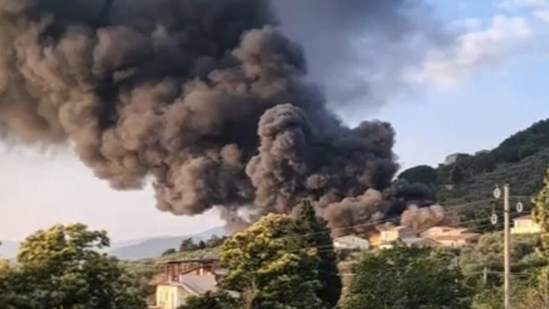 Incendio alle cantine Odoardi di Nocera Terinese: ipotesi dolosa