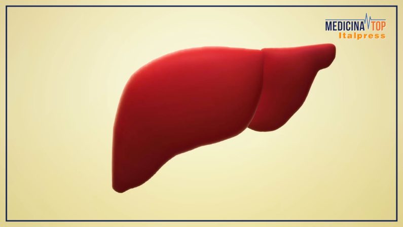 Casi di fegato grasso in aumento tra i giovani, attenzione alla dieta e agli stili di vita