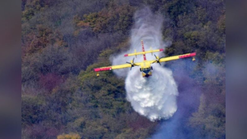 Macchia mediterranea a fuoco nel leccese