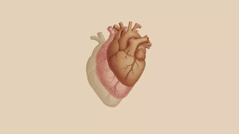 Scompenso cardiaco, nasce il gruppo di lavoro per la diagnosi precoce