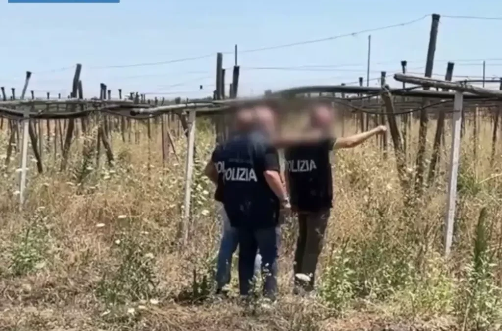 Maxi operazione contro l’immigrazione clandestina in 23 province / Video