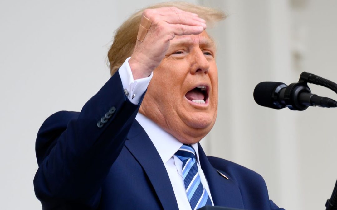 Trump “In sei mesi abbiamo rilanciato gli Usa”