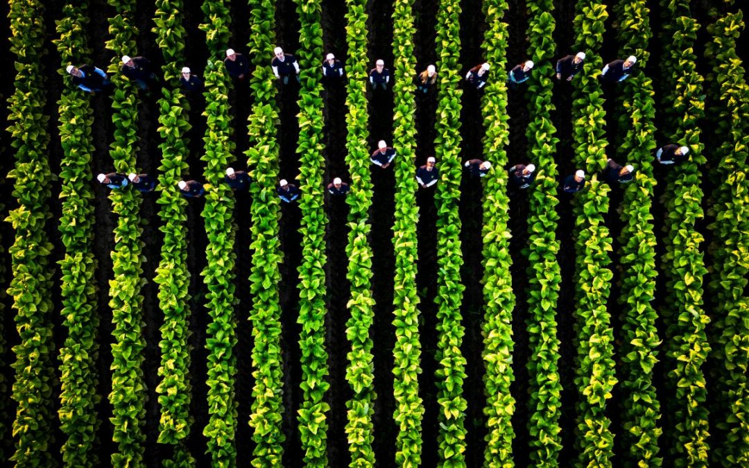 A Perugia la seconda tappa del roadshow di Coldiretti e Philip Morris