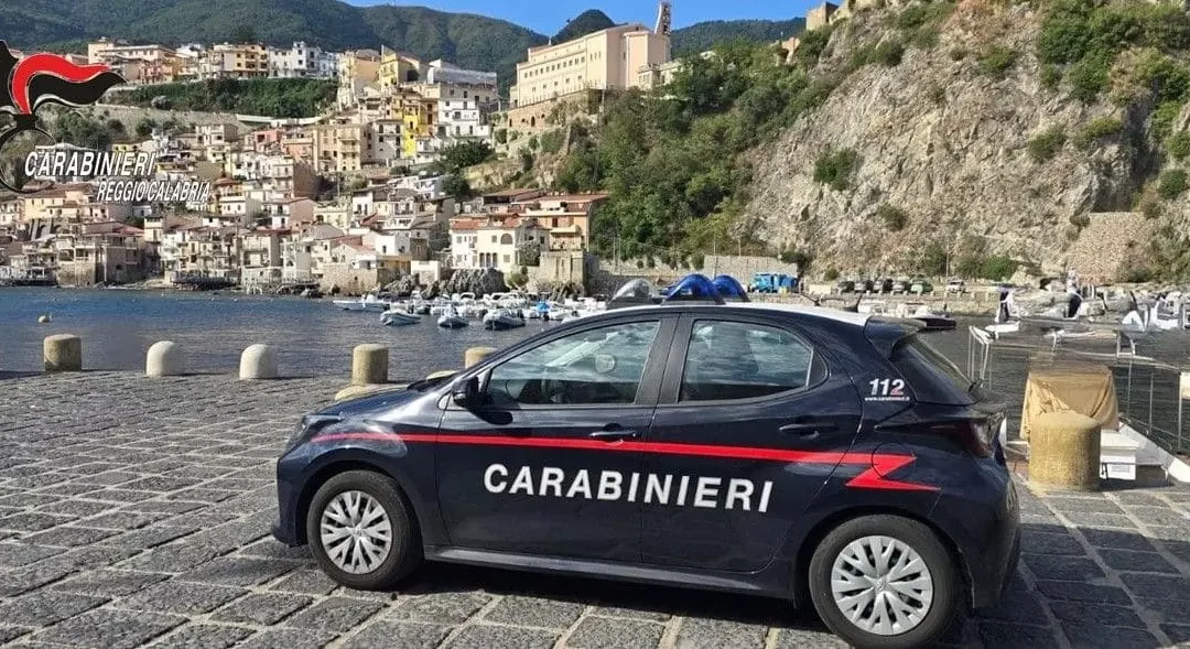 Blitz dei Carabinieri nei lidi del reggino, multe e sequestri