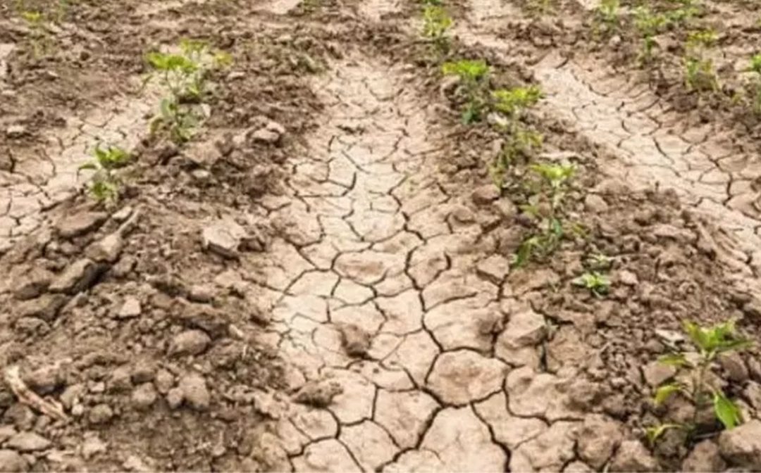 Crisi idrica in Basilicata: «La politica fornisca soluzioni»