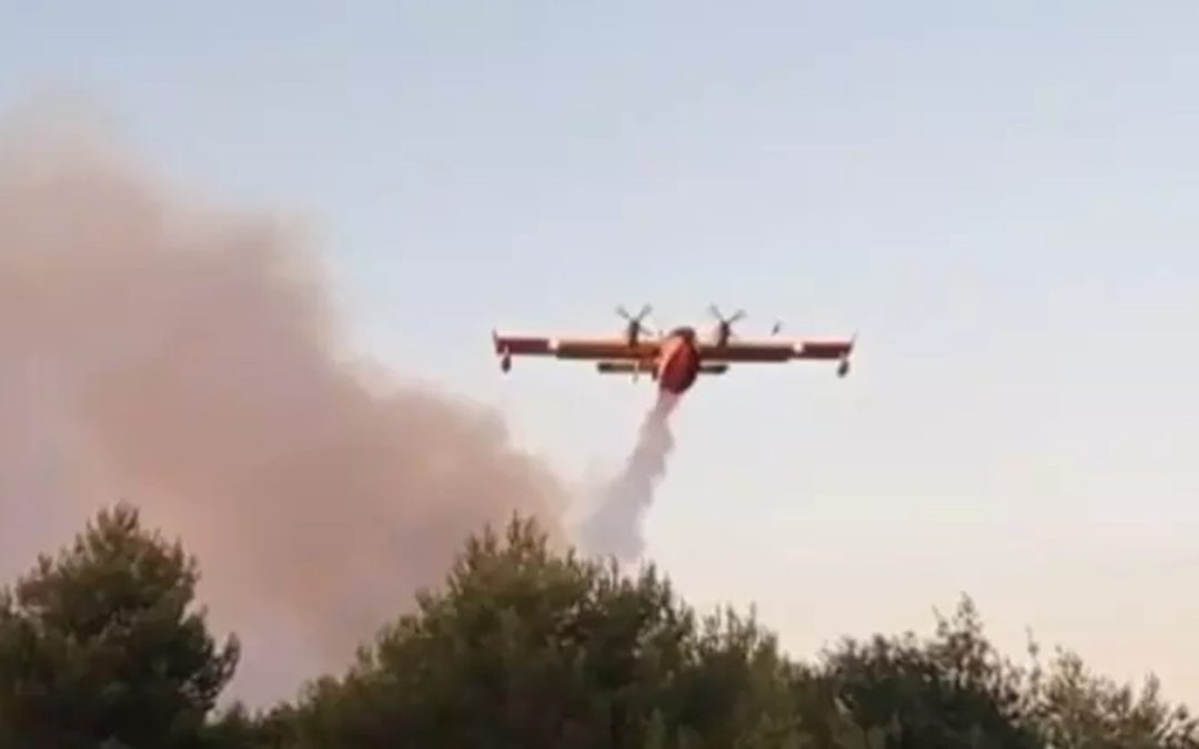 Incendio nel Foggiano, il sindaco: «Situazione apocalittica»