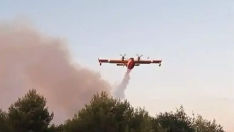 Incendio nel Foggiano, il sindaco: «Situazione apocalittica»