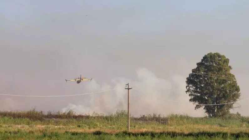 Incendio in un'oasi nel Foggiano, il sindaco: «Villaggi in sicurezza»