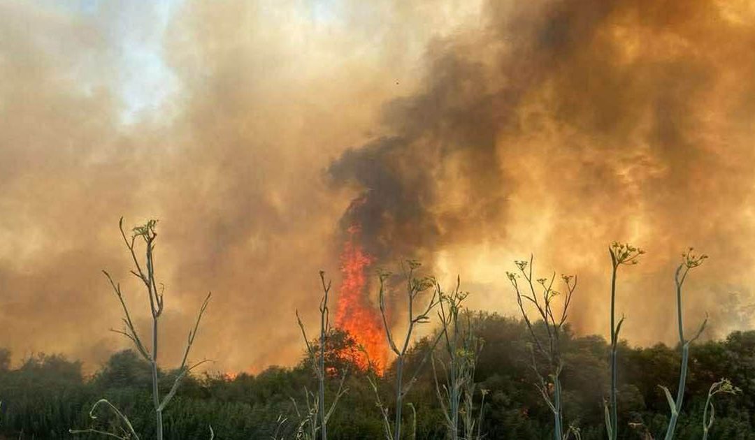 Cirò Marina, incendio lambisce villaggio: 180 turisti in fuga lungo la 106