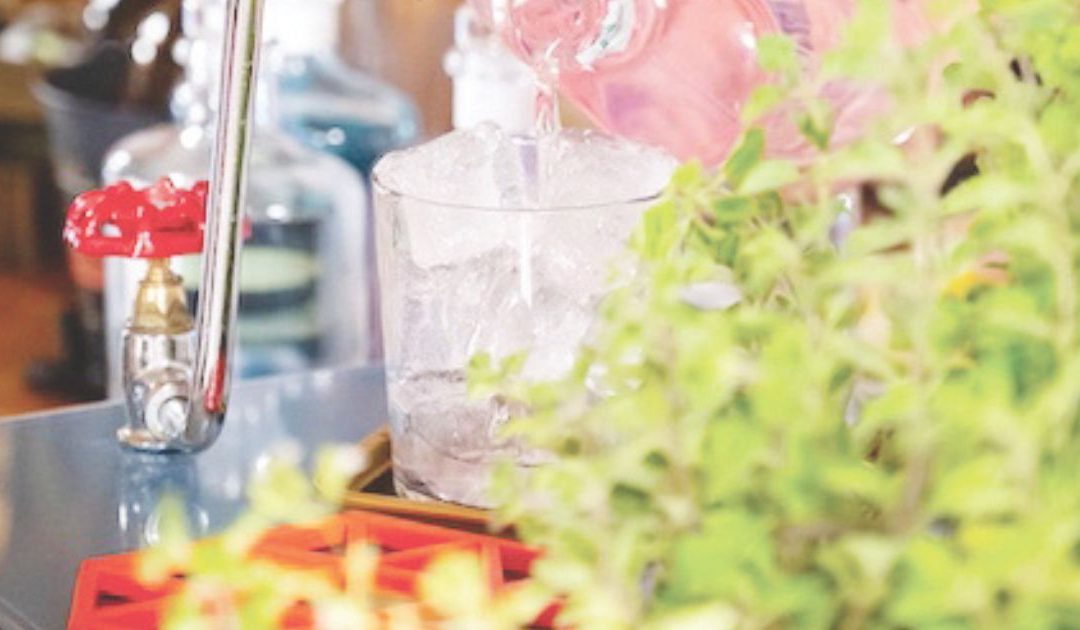 La botanical mixology da Catasta al Pollino Cocktail Camp