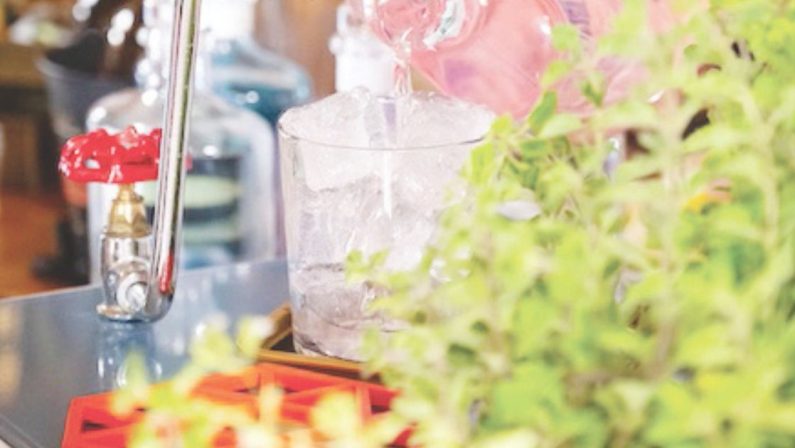 La botanical mixology da Catasta al Pollino Cocktail Camp