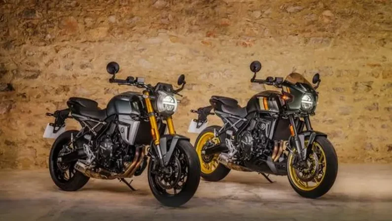 Suzuki presenta le nuove GSX-8T e GSX-8TT