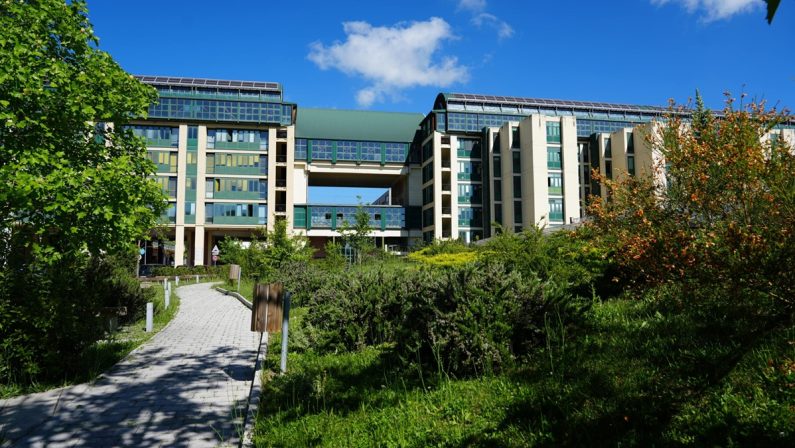 Censis, tra i piccoli atenei l’Unibas risale due posizioni