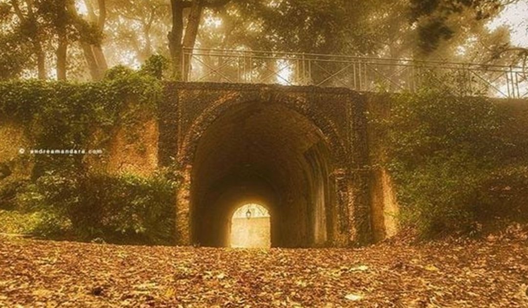L'interno di Villa Gagliardi (foto Mandara)