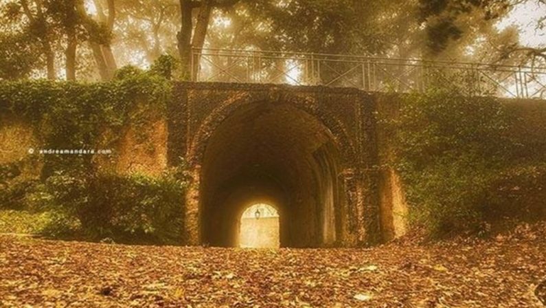 Riapre la storica Villa Gagliardi, simbolo di Vibo