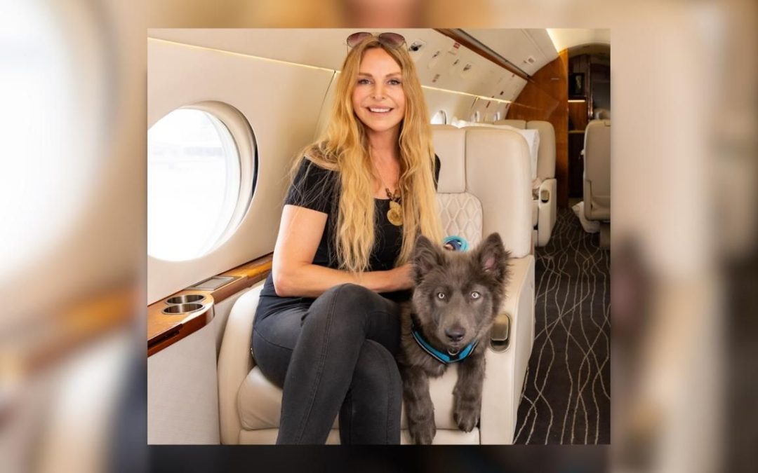 K9 JETS lancia voli diretti mensili da Milano a Dubai