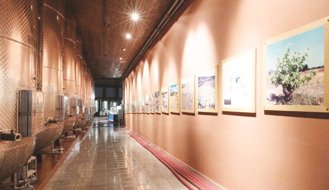 Il museo Librandi