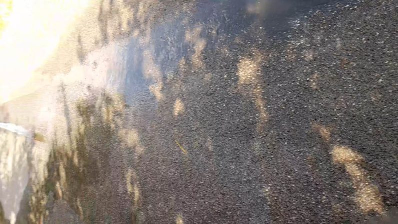 Vibo, liquami nei pressi della spiaggia a Trainiti: proteste di bagnanti