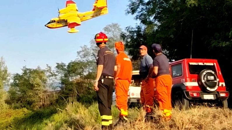 Mileto, vasto incendio distrugge 20 ettari di macchia mediterranea