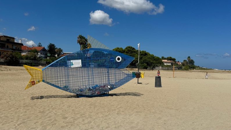 Vibo, un pesce "mangiaplastica" sulla spiaggia di Bivona