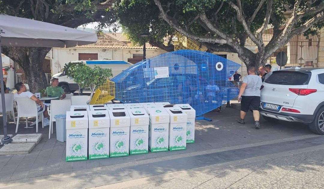 Il pesce mangiaplastica a Vibo Marina