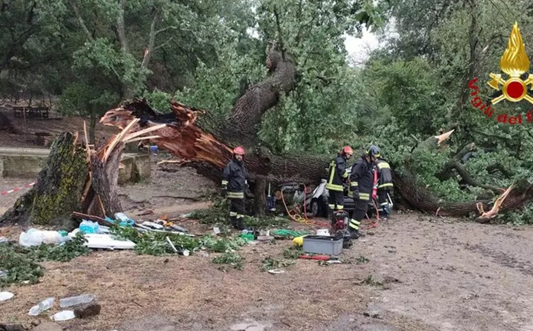 La quercia crollata sull'auto dove erano i quattro giovani