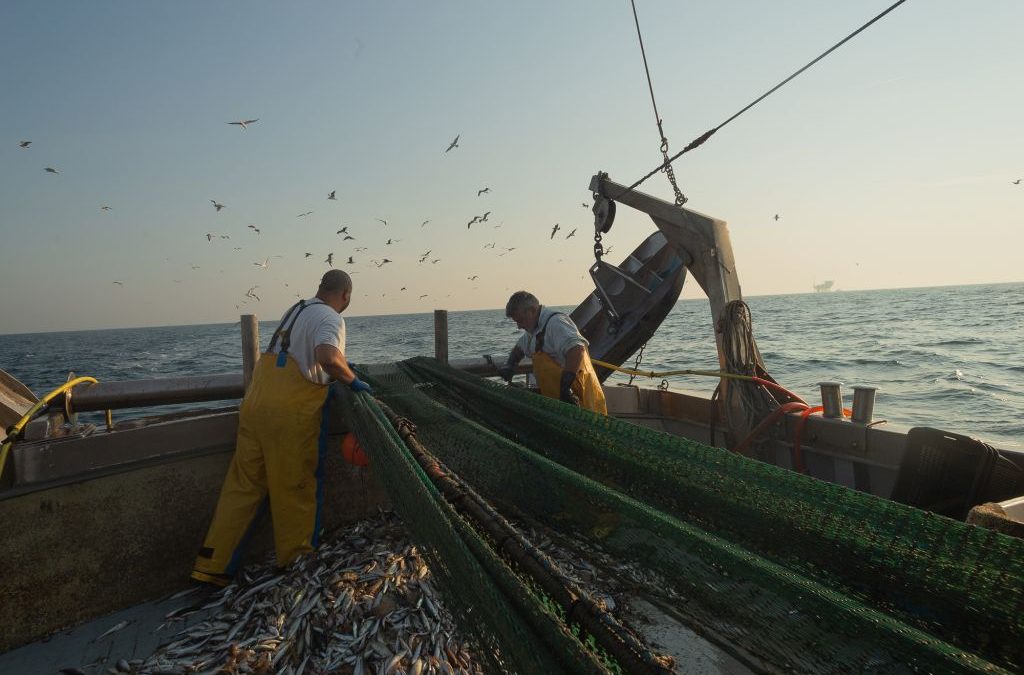 Pesca, in arrivo 2.7 milioni di euro con il programma Feampa