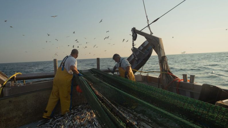 Pesca, in arrivo 2.7 milioni di euro con il programma Feampa