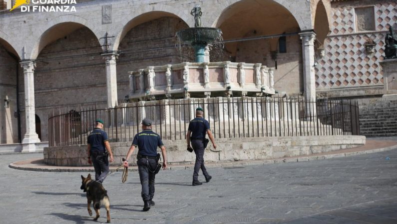 A Perugia sequestrata droga per oltre 10 mln nei primi otto mesi 2025