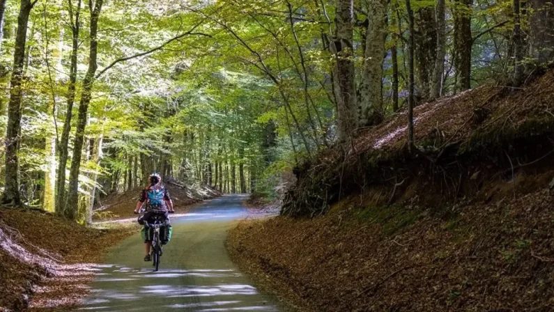 Al via la prima edizione di “Ciclovia della Salute” nei Parchi della Calabria